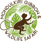 Mondulkiri Gibbon & Wildlife Safari