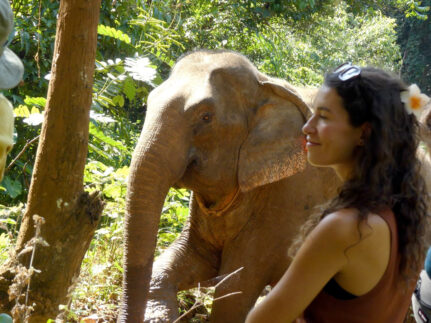 Trekking Cambodia, meet the elephants at Mondulkiri