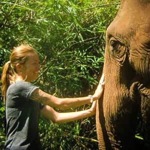 cropped-elephant Elephant Tours